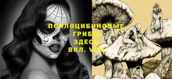 кокс Аркадак