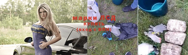 кокс Аркадак